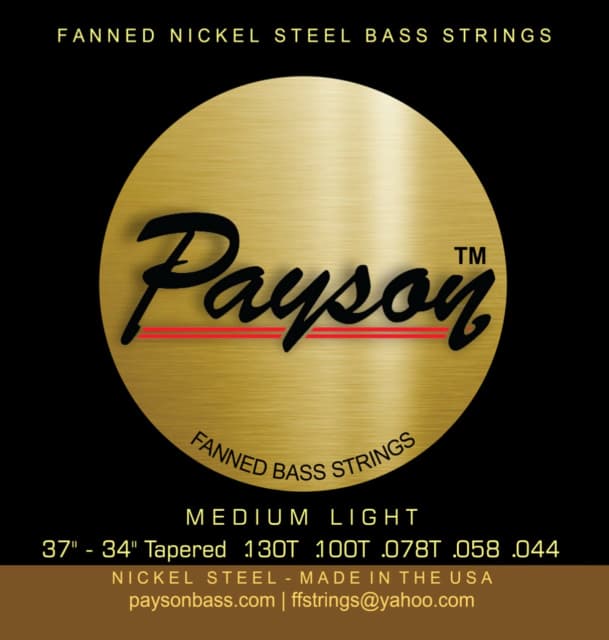 Payson Fanned Fret Medium Light 6 Bass String Set